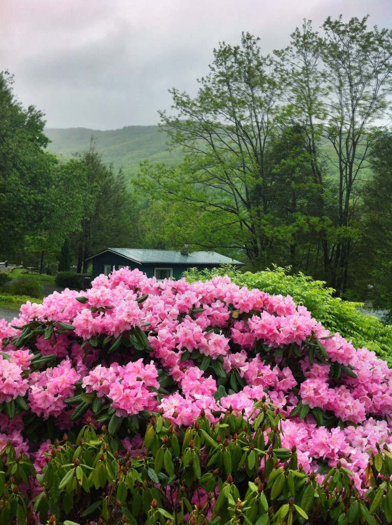 grandfather mountain cabin