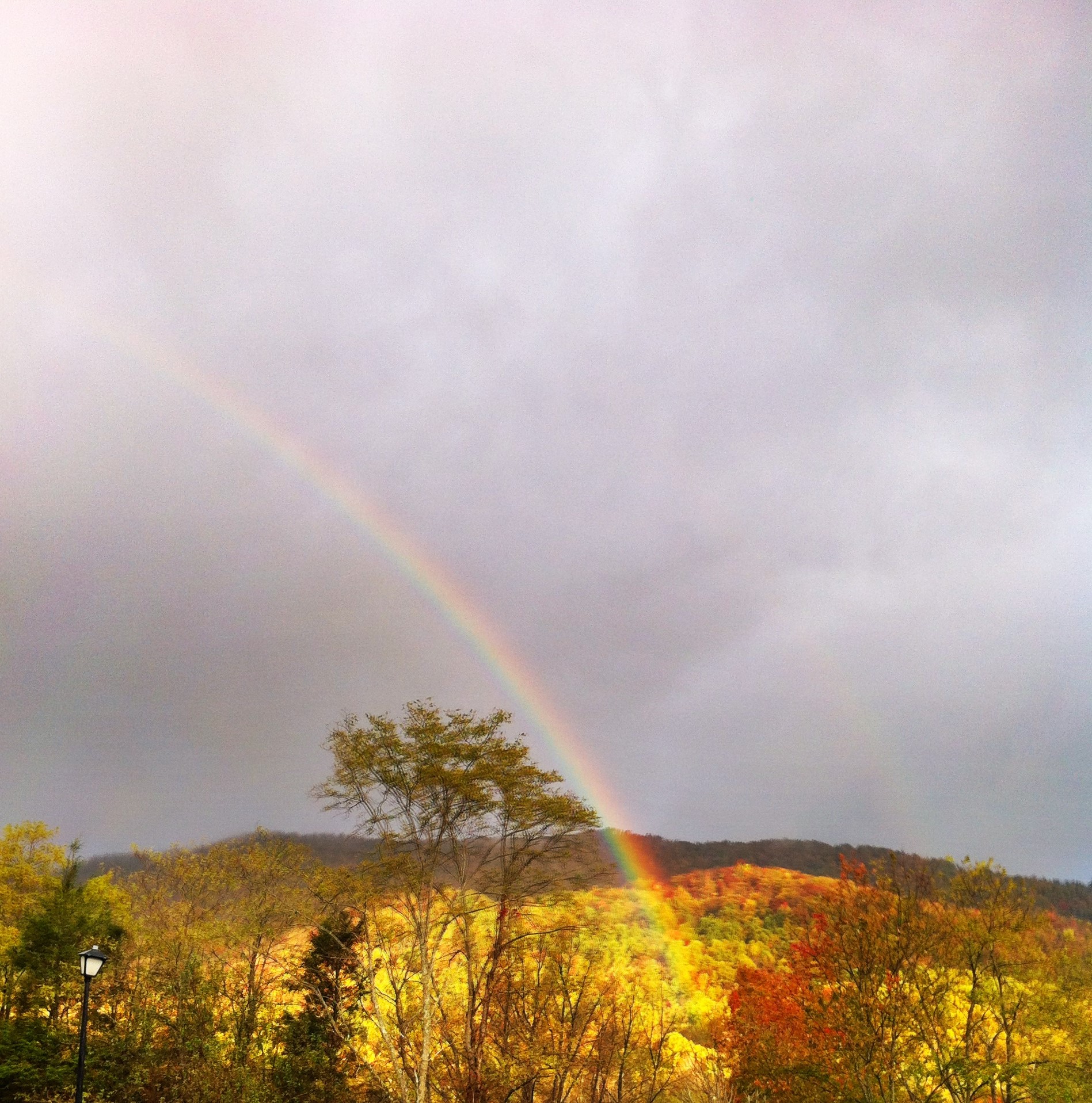 grandfather mountain nc