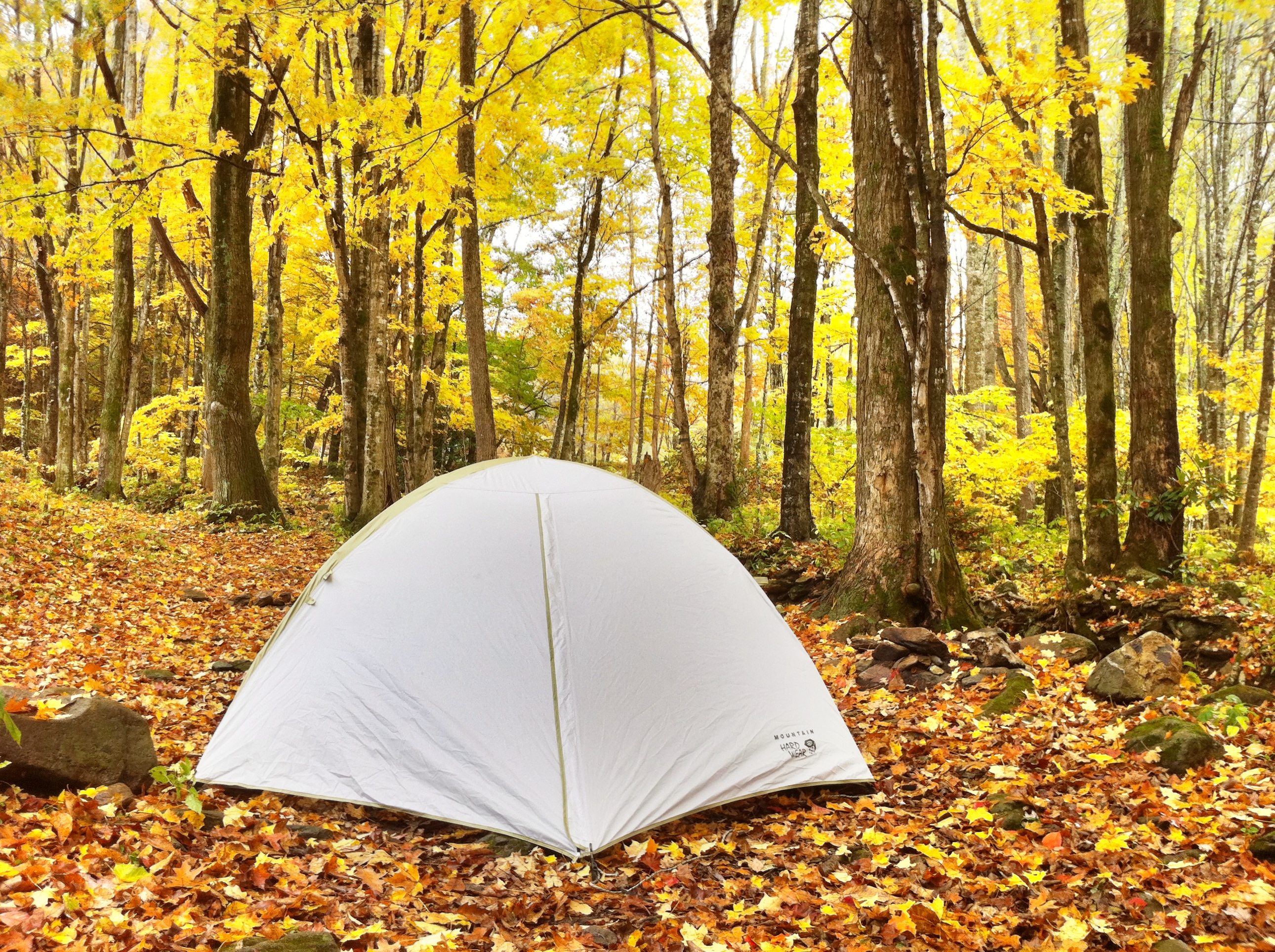 grandfather mountain tent camping